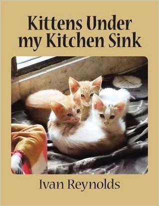 Gatitos debajo de mi fregadero de cocina