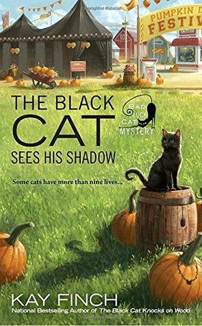 El gato negro ve su sombra