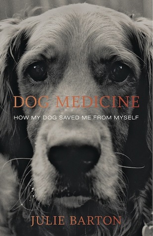 Medicina del perro
