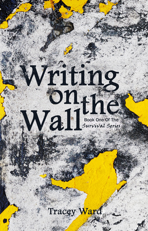 Escribiendo en la pared