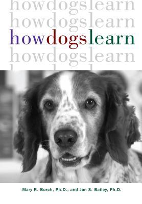 Cómo aprenden los perros
