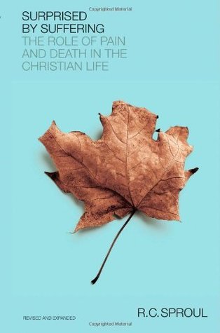 Sorprendido por el sufrimiento: el papel del dolor y la muerte en la vida cristiana
