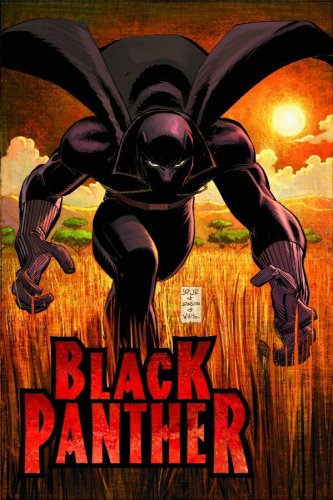 Pantera Negra: ¿Quién es la Pantera Negra?