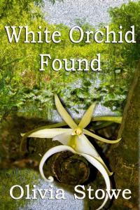 Orquídea blanca encontrada