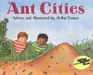 Ciudades de hormigas