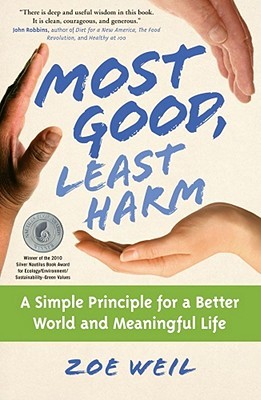 El más bueno, el menos dañino: un principio simple para un mundo mejor y una vida significativa