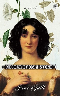 Néctar de una piedra: una novela