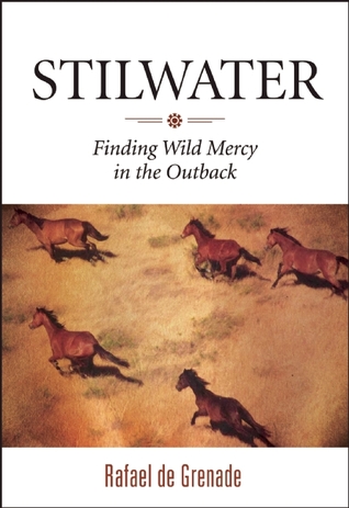 Stilwater: encontrar la misericordia salvaje en el interior