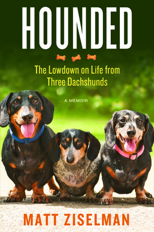 Hounded: El Lowdown en la vida de tres Dachshunds