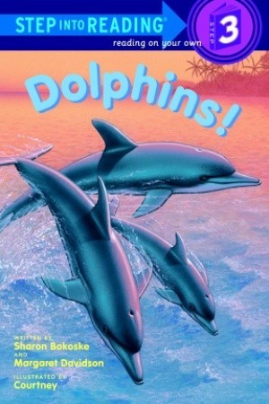 ¡Delfines!
