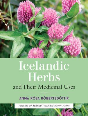 Hierbas islandesas y sus usos medicinales