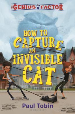 Cómo capturar un gato invisible
