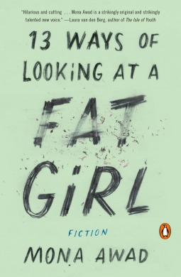 13 maneras de mirar a una chica gorda