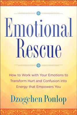 Rescate emocional: Cómo trabajar con sus emociones para transformar el daño y la confusión en energía que le da poder