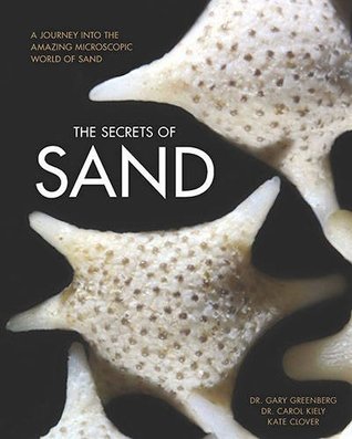 Los secretos de la arena: un viaje al mundo microscópico asombroso de la arena
