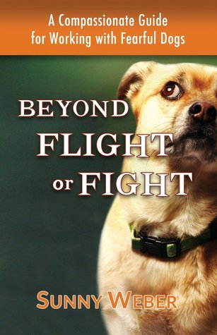 Más allá del vuelo o la lucha: una guía compasiva para trabajar con los perros temerosos