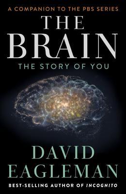 El cerebro: La historia de usted