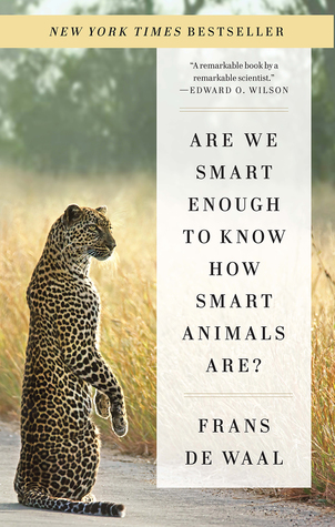 ¿Somos lo suficientemente inteligentes para saber cómo son los animales inteligentes?