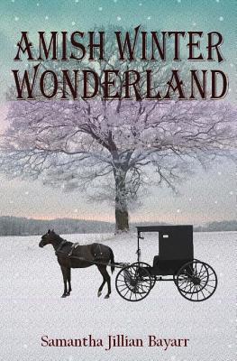 País de las maravillas del invierno de Amish