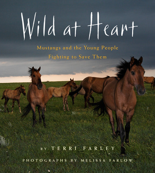 Wild at Heart: Mustangs y los jóvenes que luchan por salvarlos
