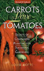 Las zanahorias Tomates del amor: Secretos del plantación del compañero para cultivar un huerto acertado