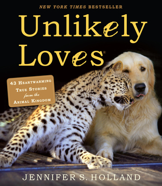 Amores improbables: 43 Historias verdaderamente reconfortantes del reino animal (improbables amistades)