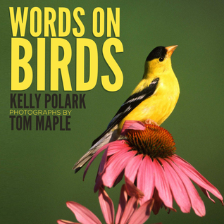 Palabras sobre aves