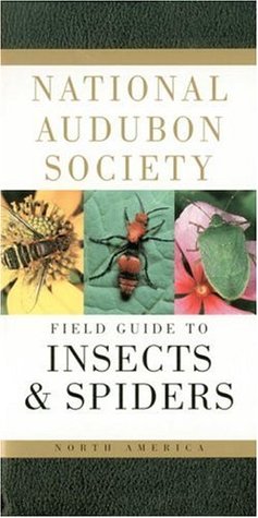 Guía Nacional de Audubon Society para Insectos y Arañas: América del Norte (National Audubon Society Field Guides