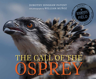Llamada del Osprey