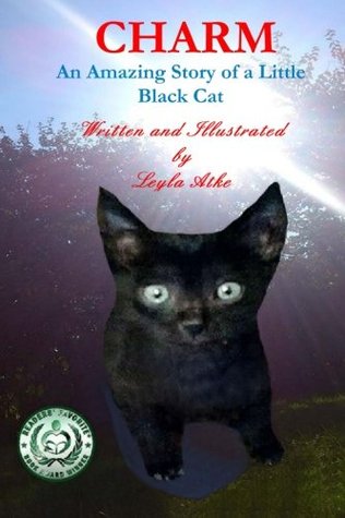 Encanto: una historia asombrosa de un pequeño gato negro