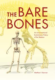 Los huesos desnudos: una historia evolutiva no convencional del esqueleto