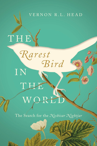 El pájaro más raro del mundo: la búsqueda del Nechisar Nightjar