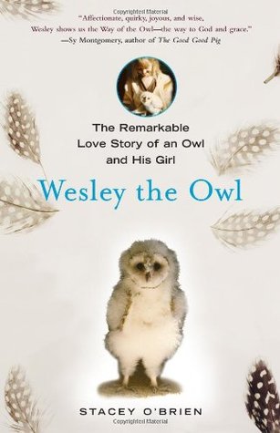 Wesley el búho: La historia de amor notable de un búho y de su muchacha