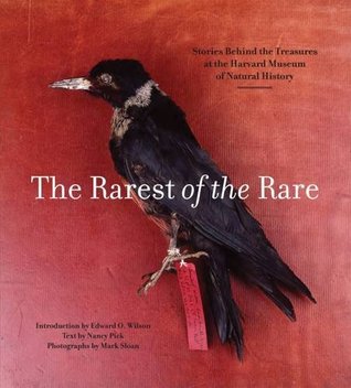El más raro de los raros: historias detrás de los tesoros en el Museo de Harvard de Historia Natural