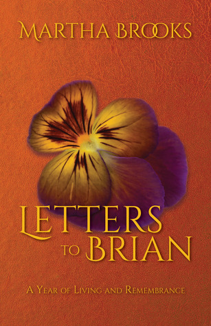 Cartas a Brian: un año de vida y conmemoración