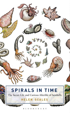 Espirales en el tiempo: La vida secreta y curiosa vida futura de Seashells