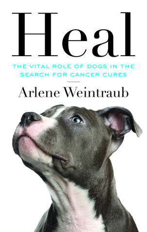 Cura: El papel vital de los perros en la búsqueda de curaciones del cáncer