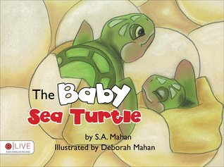 La tortuga de mar del bebé
