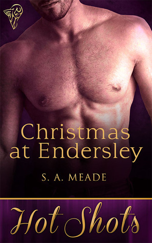 Navidad en Endersley
