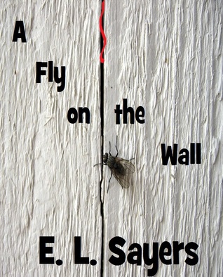 Una mosca en la pared