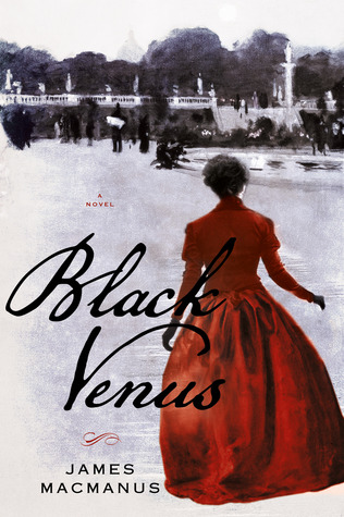 Venus negro