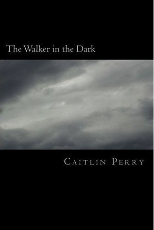 El caminante en la oscuridad