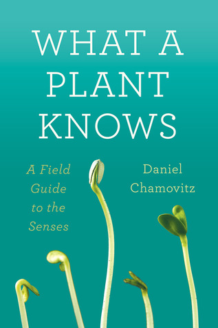 Lo que una planta sabe: una guía de campo para los sentidos