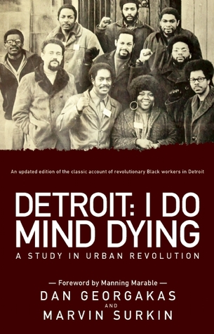 Detroit: Muerte de la mente: un estudio en la revolución urbana