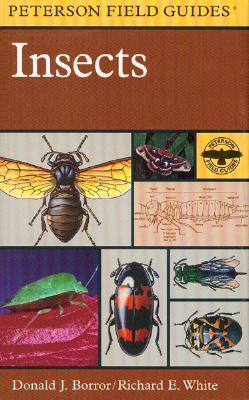 Una guía de campo para los insectos: América del Norte de México