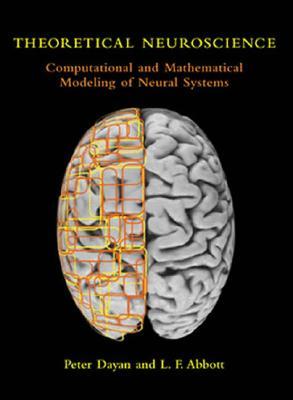Neurociencia Teórica: Modelización Computacional y Matemática de Sistemas Neuronales
