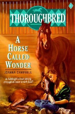 Un caballo llamado maravilla