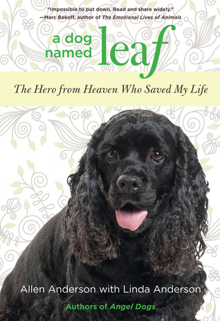 Un perro llamado hoja: El héroe del cielo que salvó mi vida