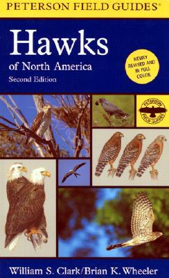 Una guía de campo a los halcones de Norteamérica