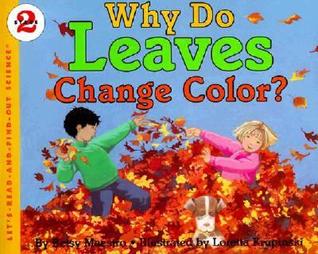 ¿Porque las hojas cambian de color?